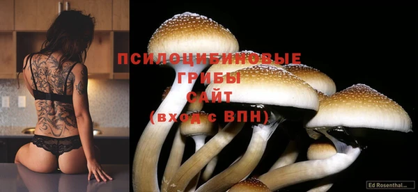 гидропоника Армянск