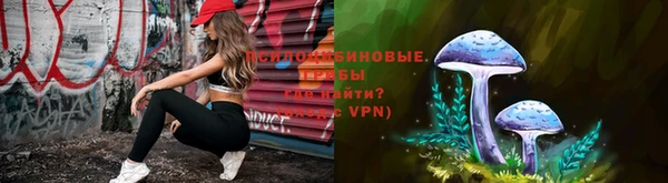 ПСИЛОЦИБИНОВЫЕ ГРИБЫ Аркадак