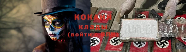 прущие грибы Арсеньев
