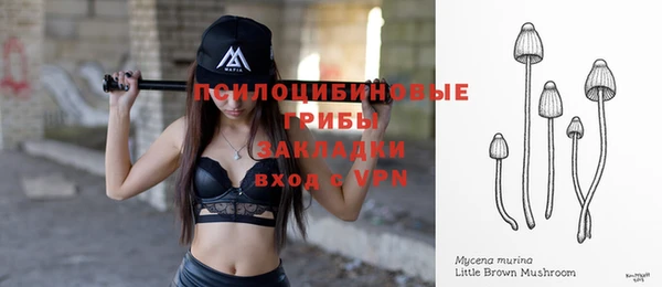 прущие грибы Арсеньев