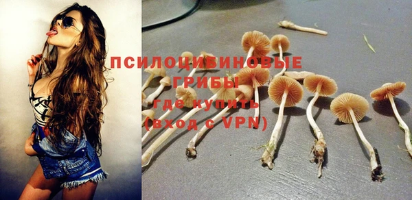 ПСИЛОЦИБИНОВЫЕ ГРИБЫ Аркадак