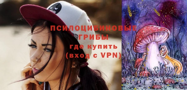 ПСИЛОЦИБИНОВЫЕ ГРИБЫ Аркадак