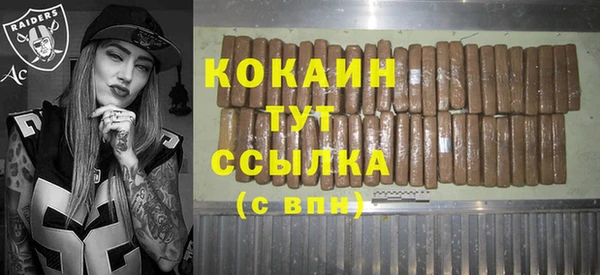 прущие грибы Арсеньев