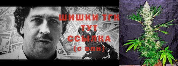 прущие грибы Арсеньев