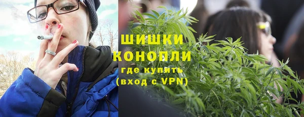 прущие грибы Арсеньев